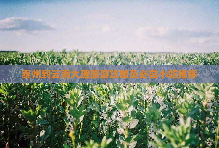 泰州到云南大理旅游攻略及必尝小吃推荐