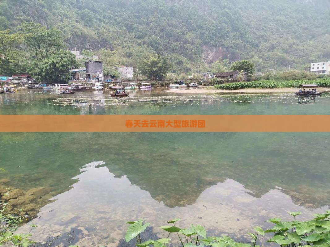春天去云南大型旅游团
