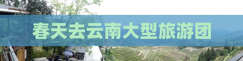 春天去云南大型旅游团
