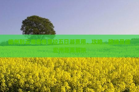 德州到云南香格里拉五日游费用、攻略、路线及德宏州距离解析