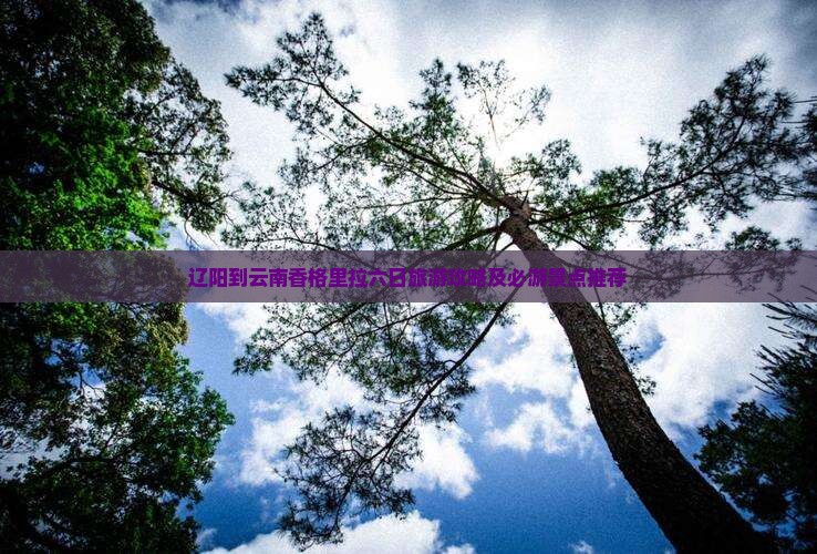 辽阳到云南香格里拉六日旅游攻略及必游景点推荐