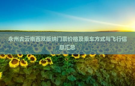 永州去云南西双版纳门票价格及乘车方式与飞行信息汇总