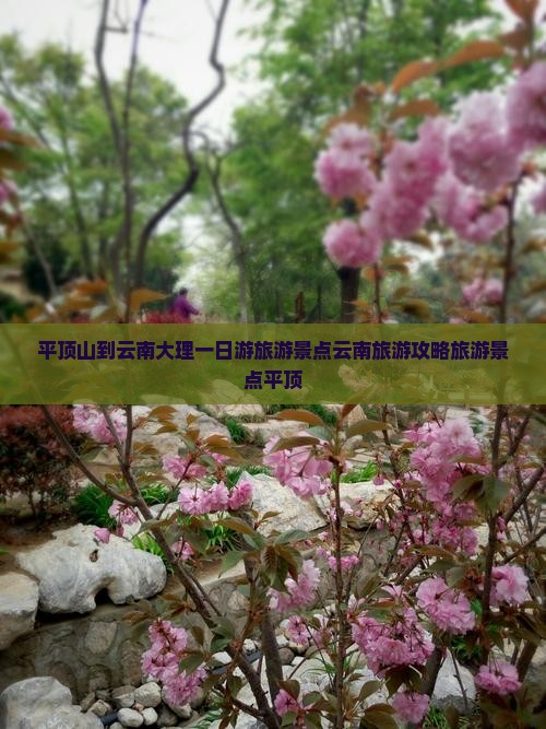 平顶山到云南大理一日游旅游景点云南旅游攻略旅游景点平顶
