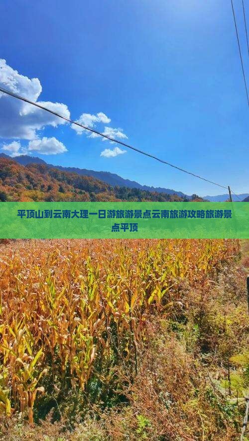 平顶山到云南大理一日游旅游景点云南旅游攻略旅游景点平顶