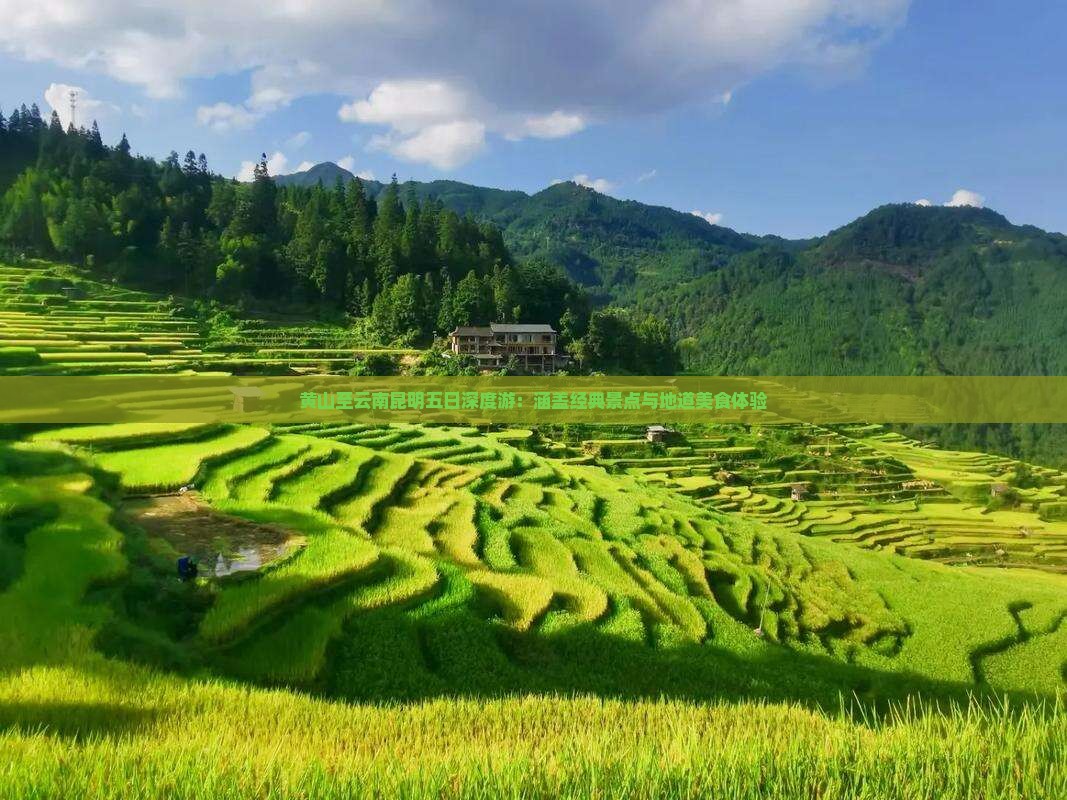 黄山至云南昆明五日深度游：涵盖经典景点与地道美食体验
