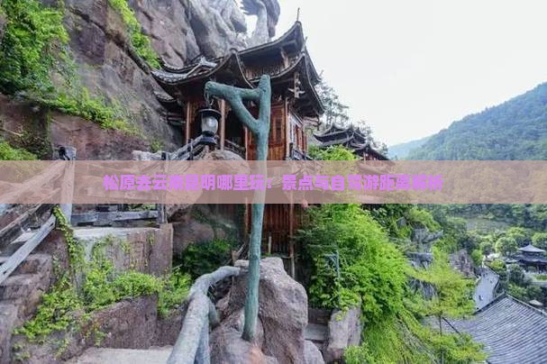 松原去云南昆明哪里玩：景点与自驾游距离解析