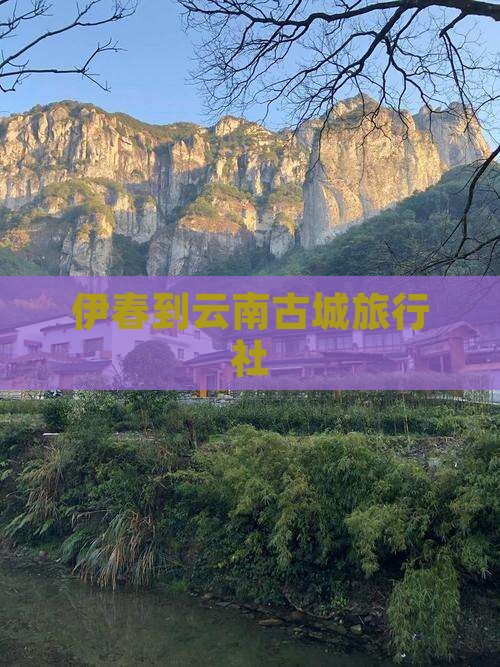 伊春到云南古城旅行社