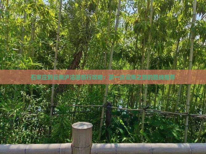 石家庄到云南泸沽湖旅行攻略：第一次云南之旅的路线推荐