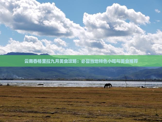 云南香格里拉九月美食攻略：必尝当地特色小吃与美食推荐