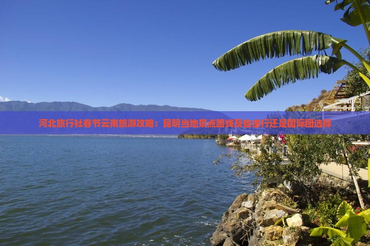 河北旅行社春节云南旅游攻略：昆明当地景点路线及自由行还是国际团选择