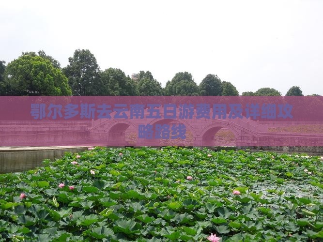 鄂尔多斯去云南五日游费用及详细攻略路线
