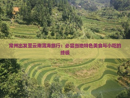 常州出发至云南洱海旅行：必尝当地特色美食与小吃的终极