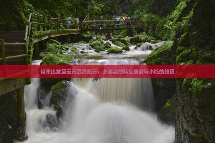 常州出发至云南洱海旅行：必尝当地特色美食与小吃的终极