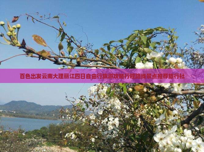 百色出发云南大理丽江四日自由行旅游攻略行程路线景点推荐旅行社