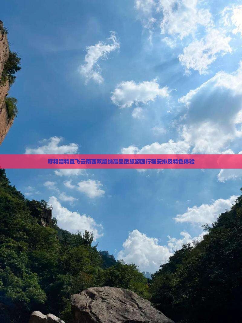 呼和浩特直飞云南西双版纳高品质旅游团行程安排及特色体验