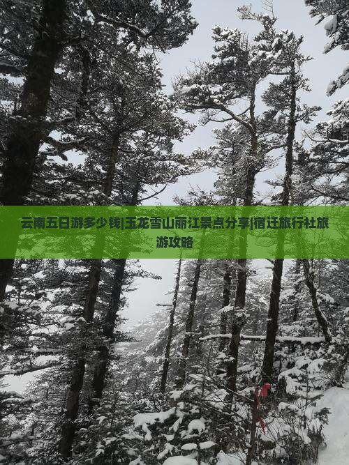 云南五日游多少钱|玉龙雪山丽江景点分享|宿迁旅行社旅游攻略