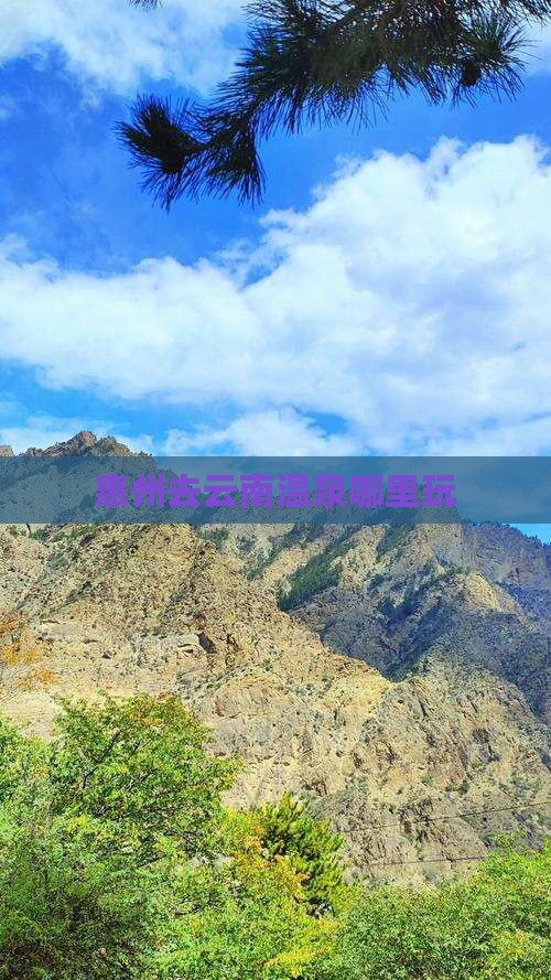 惠州去云南温泉哪里玩