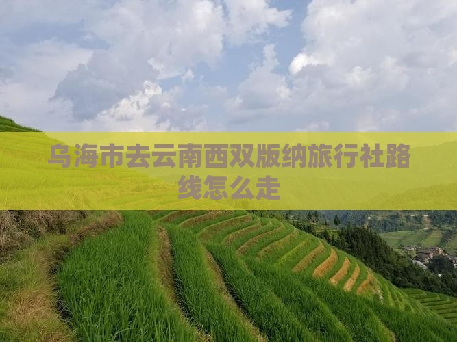 乌海市去云南西双版纳旅行社路线怎么走