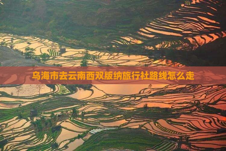 乌海市去云南西双版纳旅行社路线怎么走
