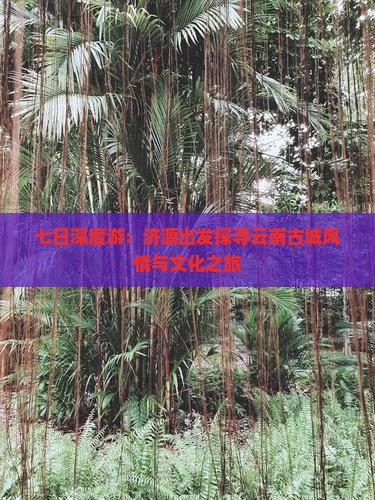 七日深度游：济源出发探寻云南古城风情与文化之旅