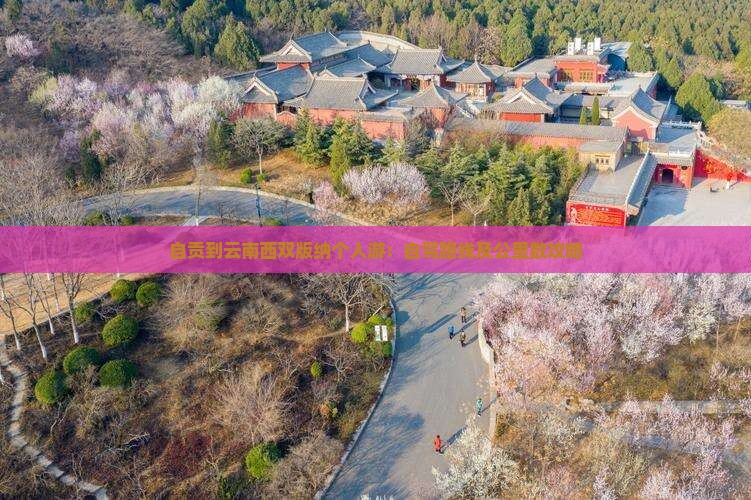 自贡到云南西双版纳个人游：自驾路线及公里数攻略