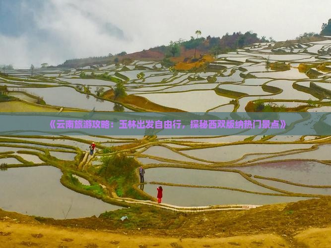 《云南旅游攻略：玉林出发自由行，探秘西双版纳热门景点》