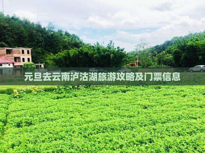 元旦去云南泸沽湖旅游攻略及门票信息