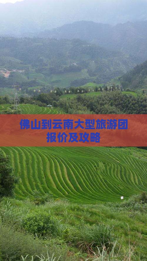 佛山到云南大型旅游团报价及攻略