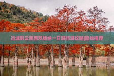 运城到云南西双版纳一日游旅游攻略|路线推荐
