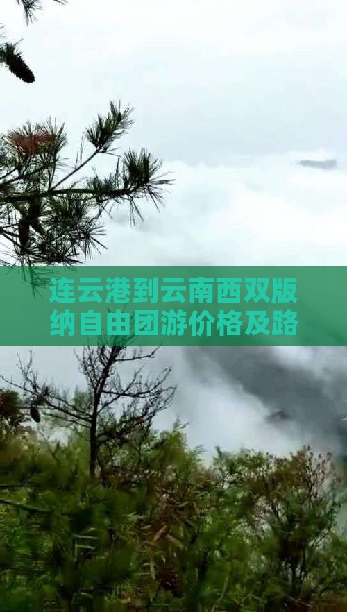 连云港到云南西双版纳自由团游价格及路线