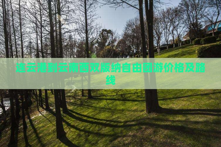 连云港到云南西双版纳自由团游价格及路线