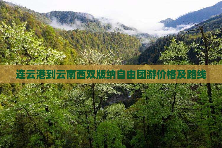 连云港到云南西双版纳自由团游价格及路线