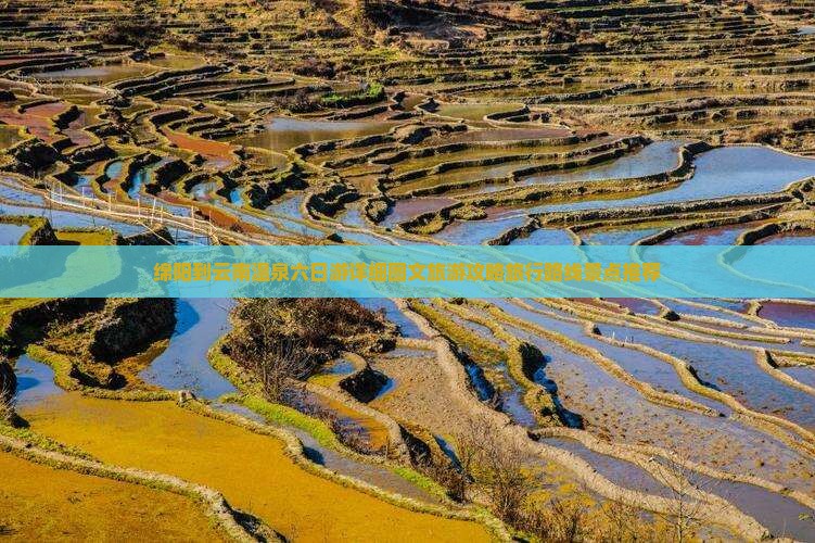 绵阳到云南温泉六日游详细图文旅游攻略旅行路线景点推荐