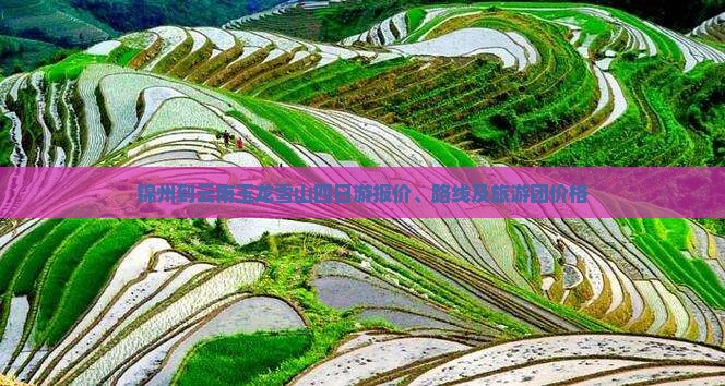 锦州到云南玉龙雪山四日游报价、路线及旅游团价格