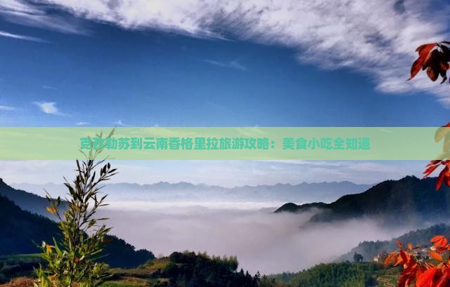 克孜勒苏到云南香格里拉旅游攻略：美食小吃全知道