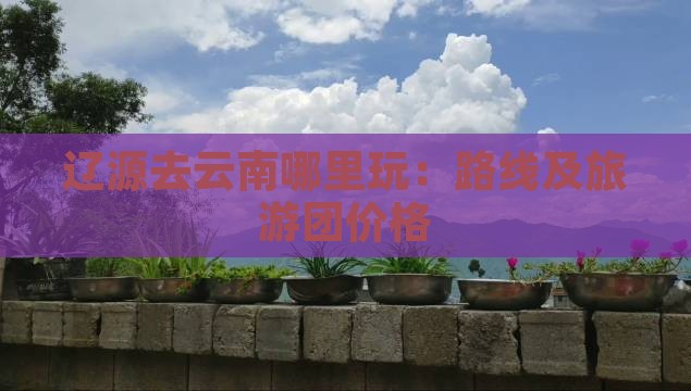 辽源去云南哪里玩：路线及旅游团价格
