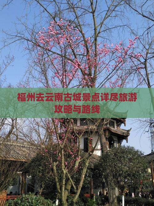 福州去云南古城景点详尽旅游攻略与路线