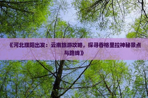 《河北濮阳出发：云南旅游攻略，探寻香格里拉神秘景点与路线》