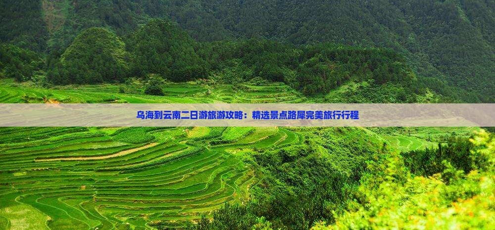 乌海到云南二日游旅游攻略：精选景点路犀完美旅行行程