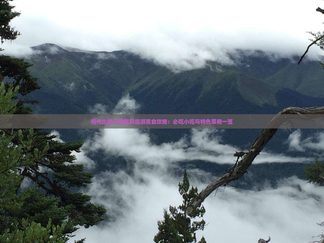 梧州出发云南昆明旅游美食攻略：必吃小吃与特色菜肴一览