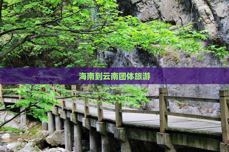海南到云南团体旅游