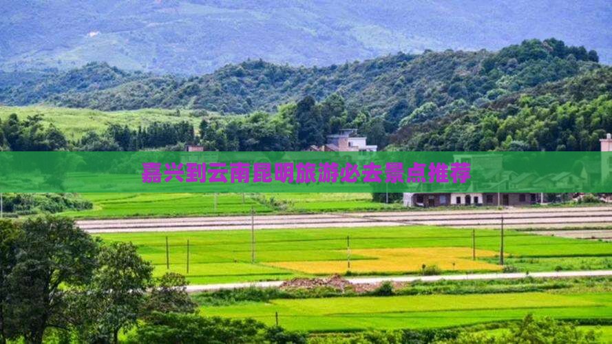 嘉兴到云南昆明旅游必去景点推荐