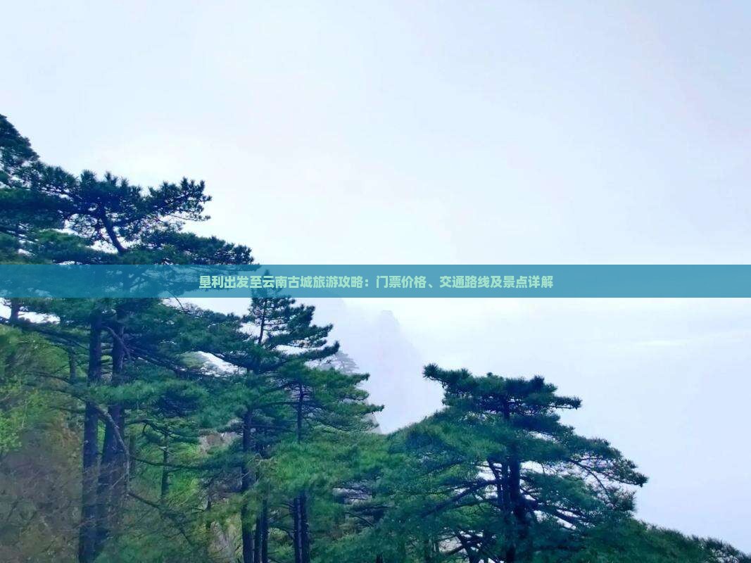 垦利出发至云南古城旅游攻略：门票价格、交通路线及景点详解