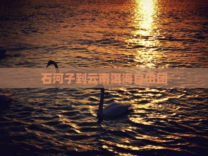 石河子到云南洱海自由团