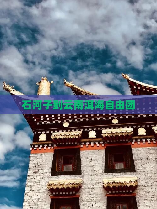 石河子到云南洱海自由团