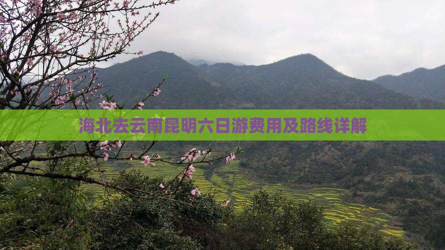 海北去云南昆明六日游费用及路线详解