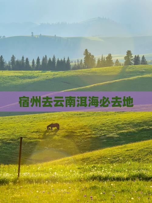 宿州去云南洱海必去地