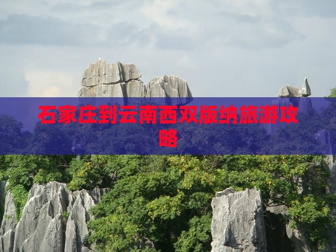 石家庄到云南西双版纳旅游攻略