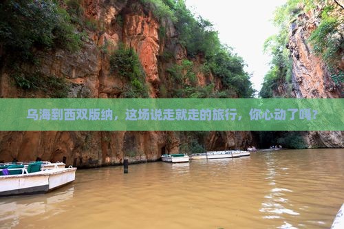 乌海去云南西双版纳景点