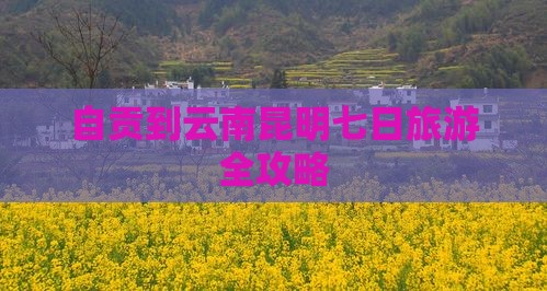 自贡到云南昆明七日游